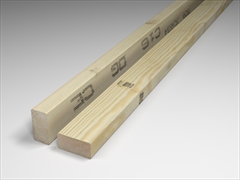 100 x 47mm (4 x 2) C16 Graded PAR Eased Edge Treated Timber